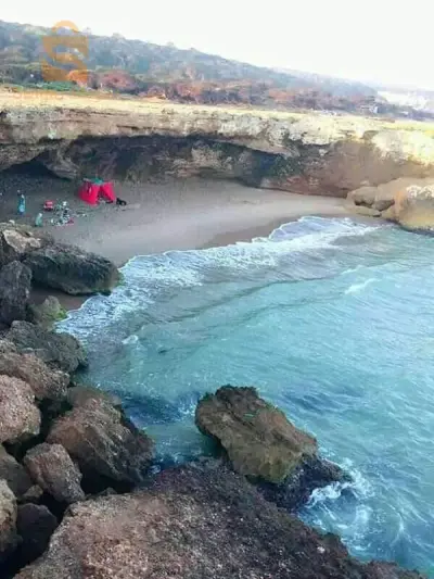 عشعاشة مستغانم
