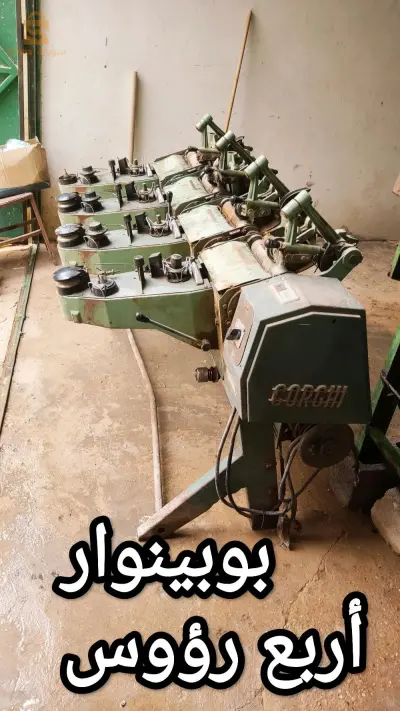 بلغنم غرداية
