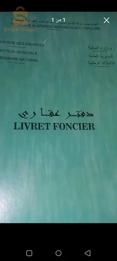 تيارت