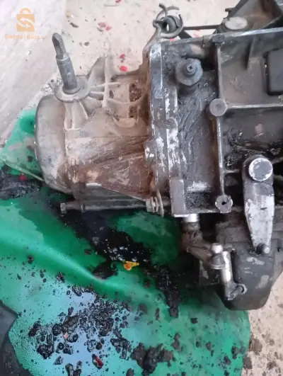 مزاورو بلدية السواحلية