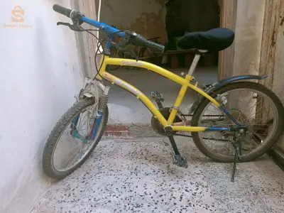 0558541686