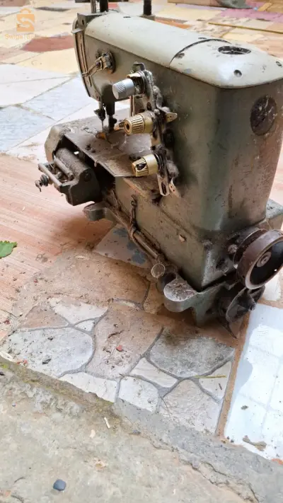 بني مراد