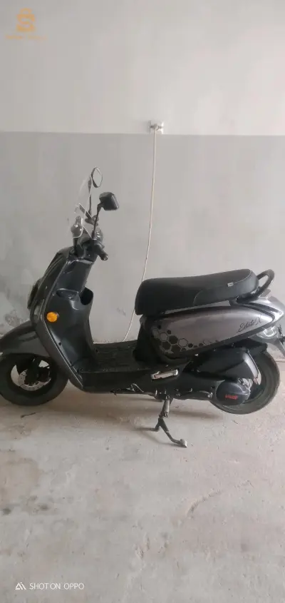 ام البواقي