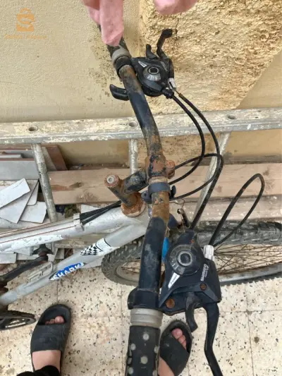 فيلوا