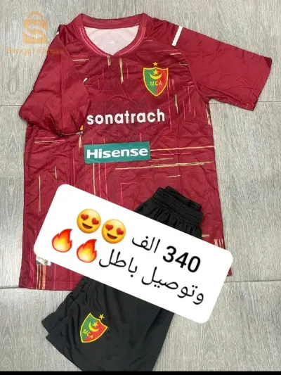 ensemble mca