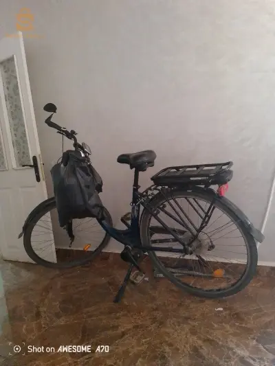 بلقايد بير الجير وهران