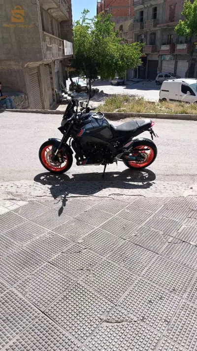 mtr.09 loupa