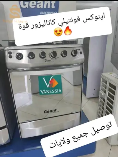كويزينار فونتيلي كتاليزور