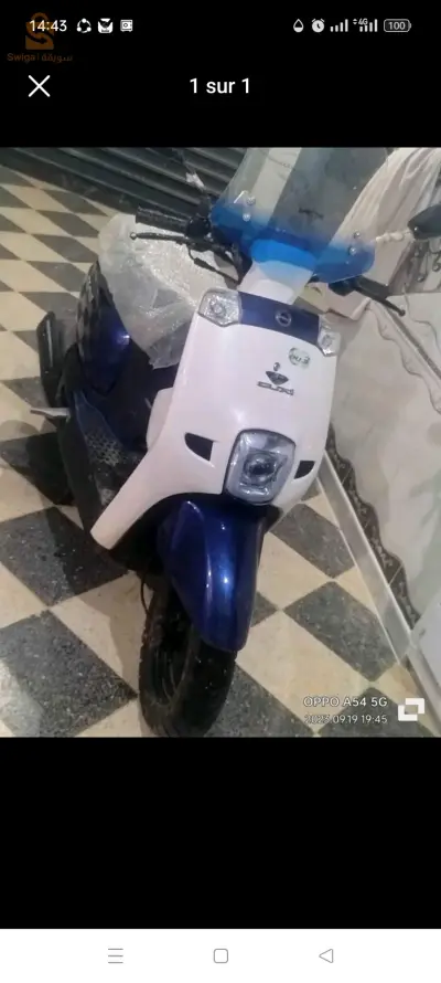 كوكسي