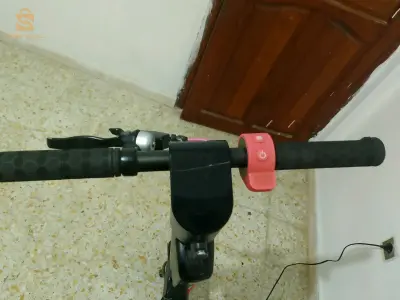 ام بواقي