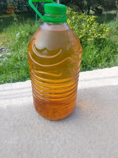 زيت زيتون