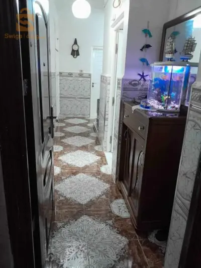 f3  عمروسة بوينان
