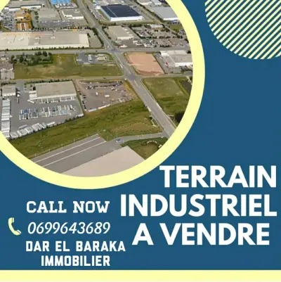 parc à la zone industrielle de tiaret