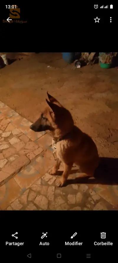 منينوا بنبيعو