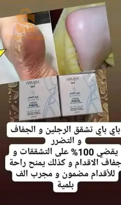 المدية