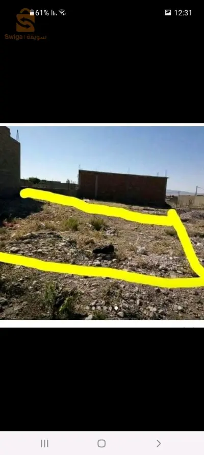 ارض