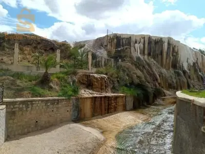 بحث عن عمل سائق شاحنة