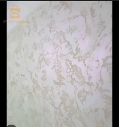 الجزائر العاصمة
