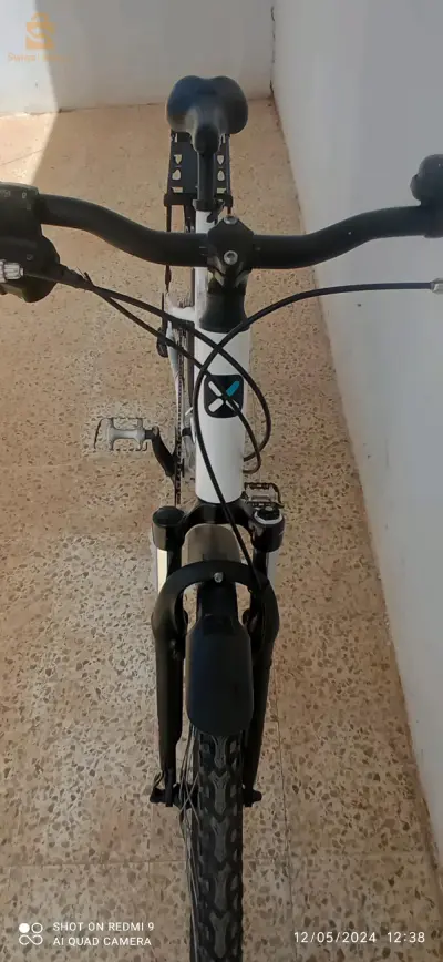 شلف