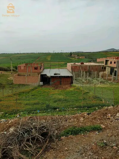 عين الدفلى