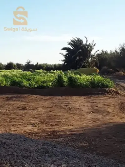 المالح سيدي عقبة بسكرة