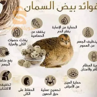 اولاد سي سليمان