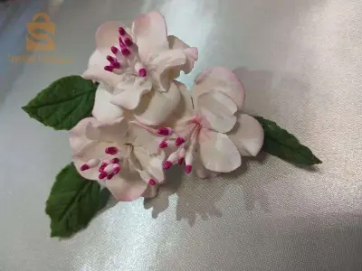البليدة