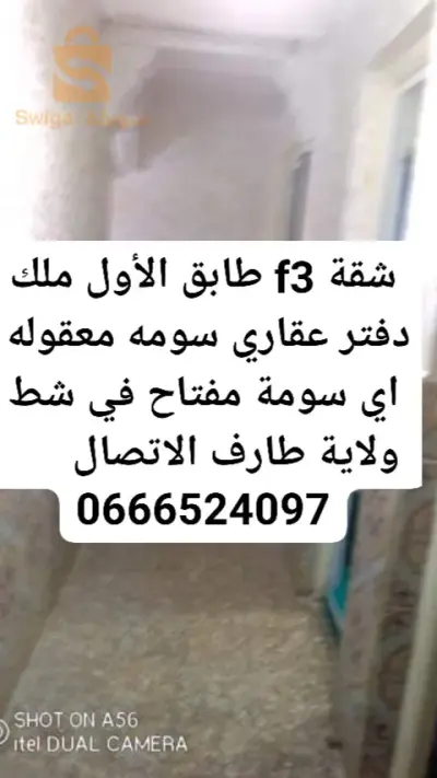 شقة f3 طابق الأول ملك دفتر عقاري شط ولاية طارف