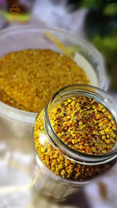 حبوب الطلع (حبوب اللقاح)