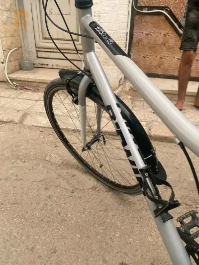 بسكرة