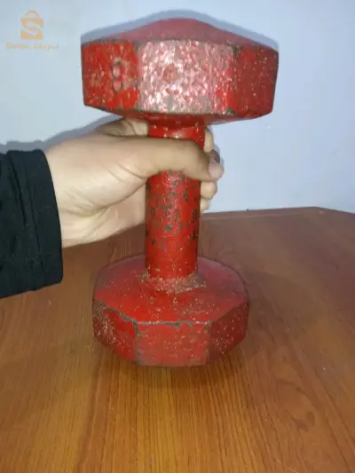 haltères de musculation 8 kg