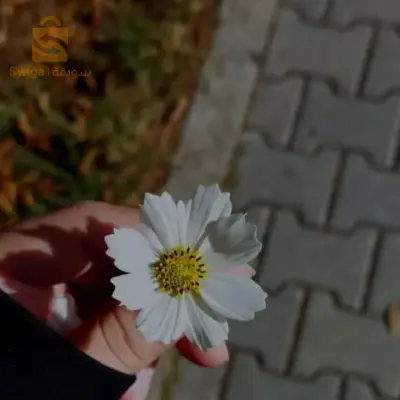 العمل في شركة تجارية
