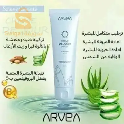 سبدو