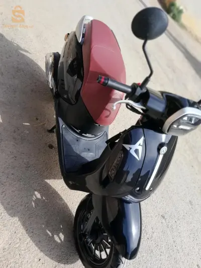 panariya 
vms