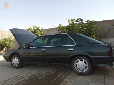 اولاد برحو