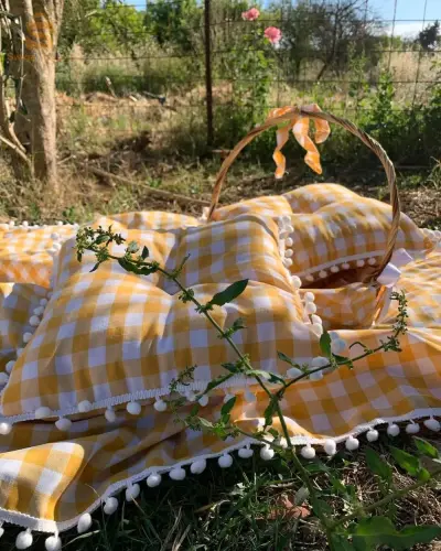 pack de picnic