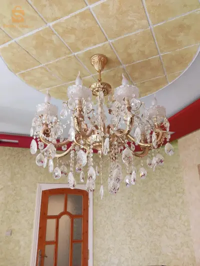 ليستر ذهبي ، كبير نوع ما .