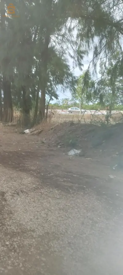 بوڨرة