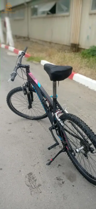 البليدة
