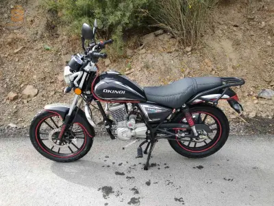 Okinoi lion 150 cc 
2022