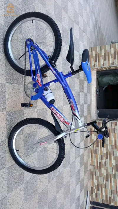 viloo 20