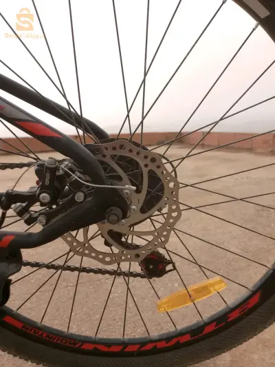 (0791514845:)velo