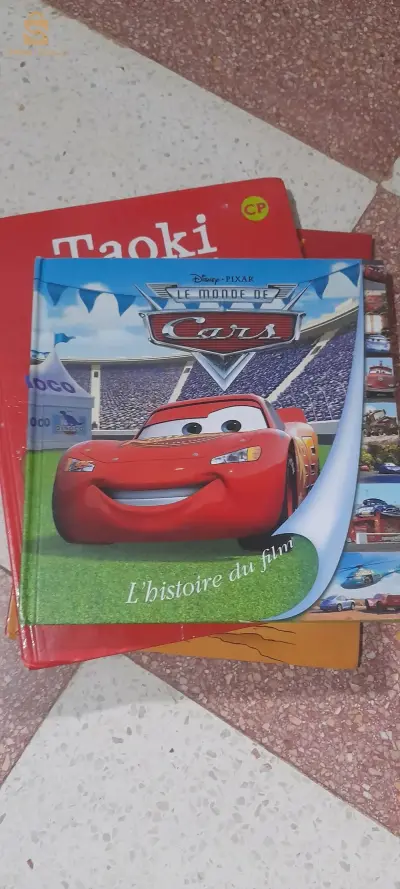 livres programmes français et romans