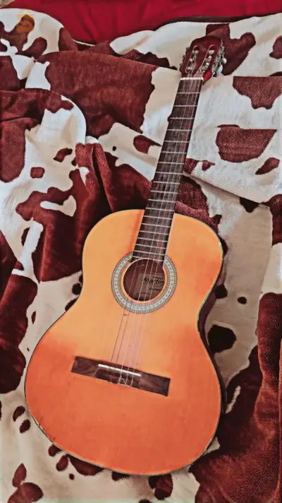 guitar