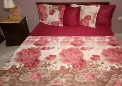 drap deux places et 6pièces
