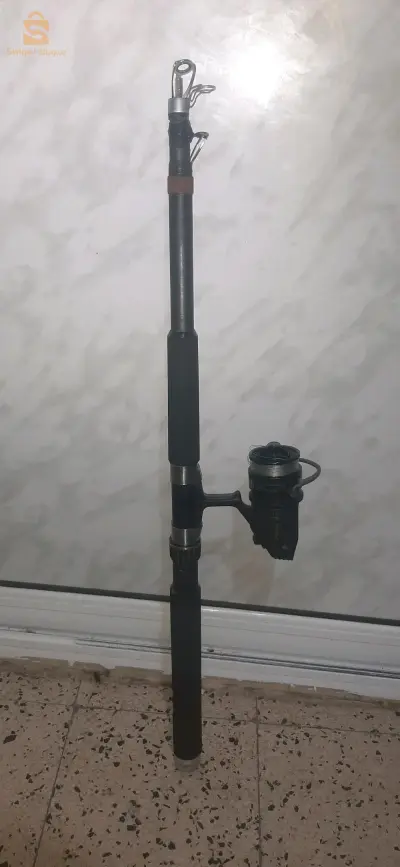 موليني كارلون