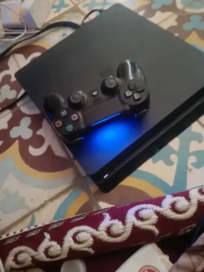 شلف