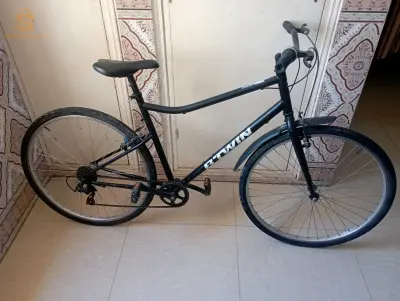 رقم الهاتف 
0776469066