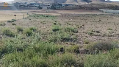 سطيف