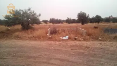 terrain béni mensour 4000m2